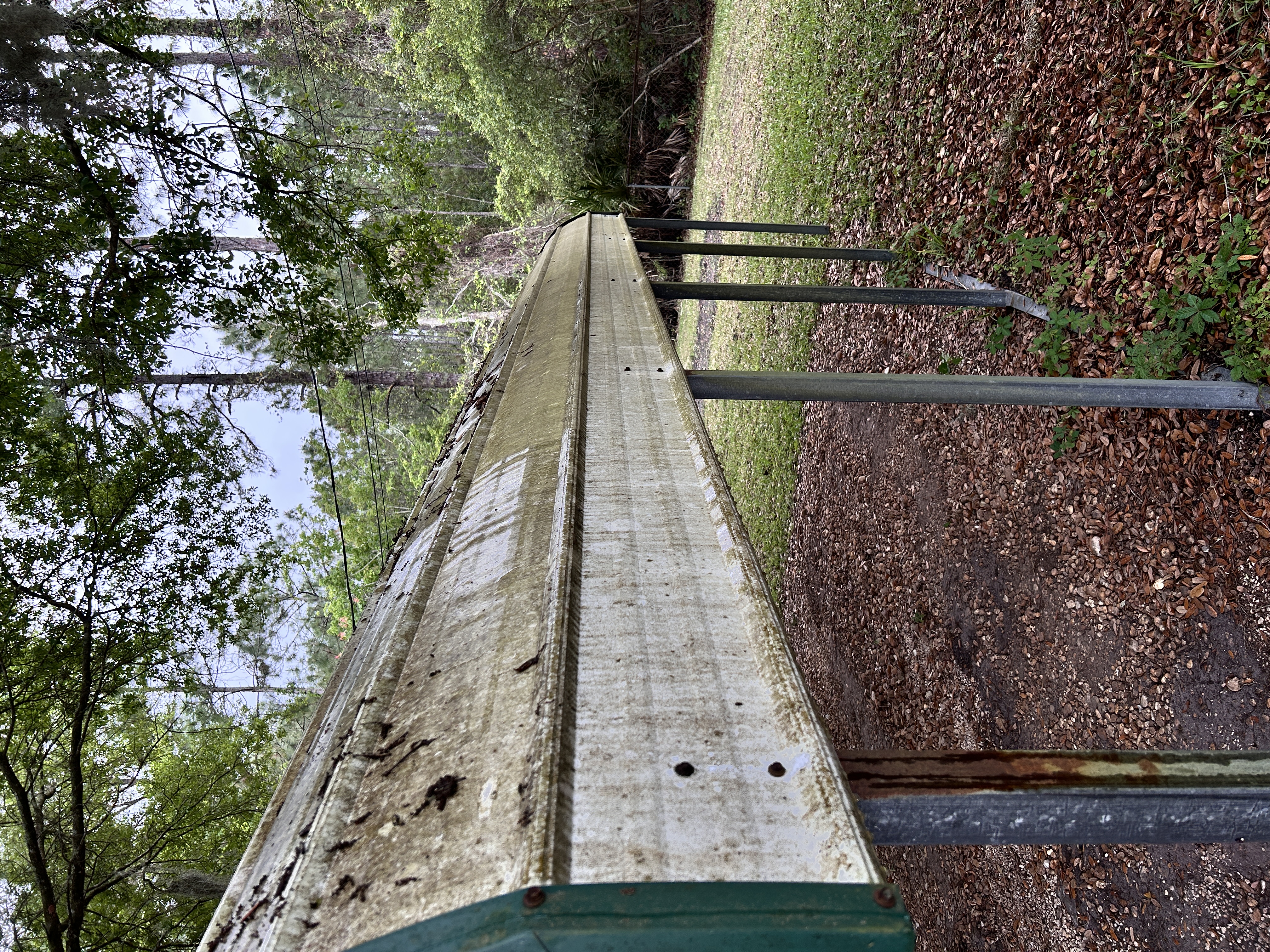 Before window cleaning project